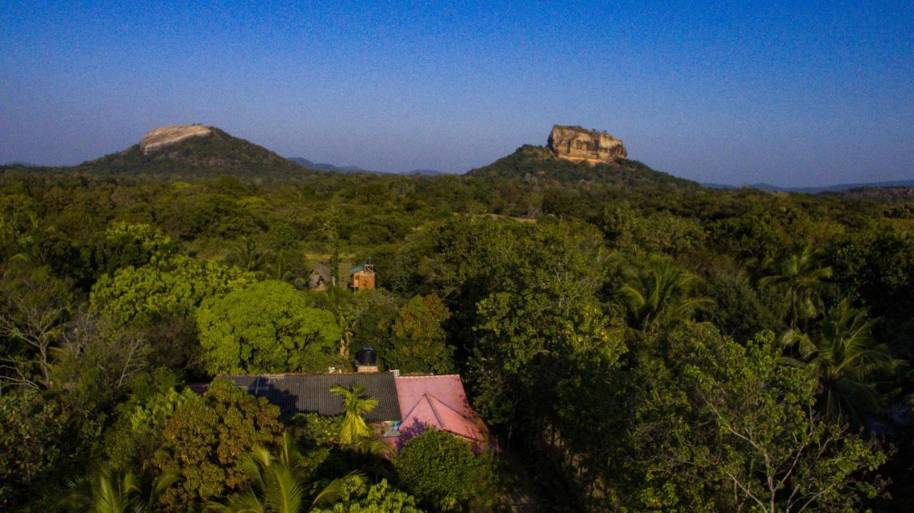 Hotel Sigiriya Rock Gate Tree House Exteriér fotografie