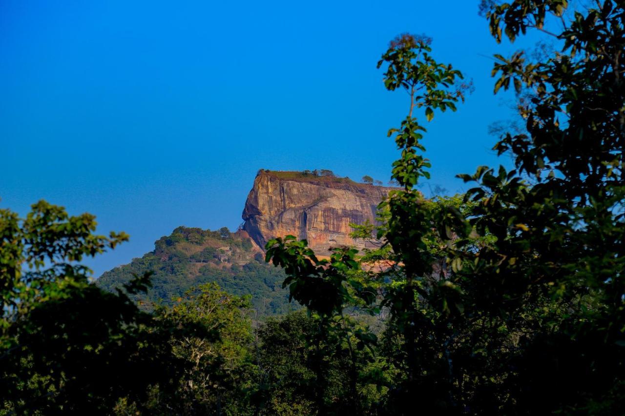 Hotel Sigiriya Rock Gate Tree House Exteriér fotografie