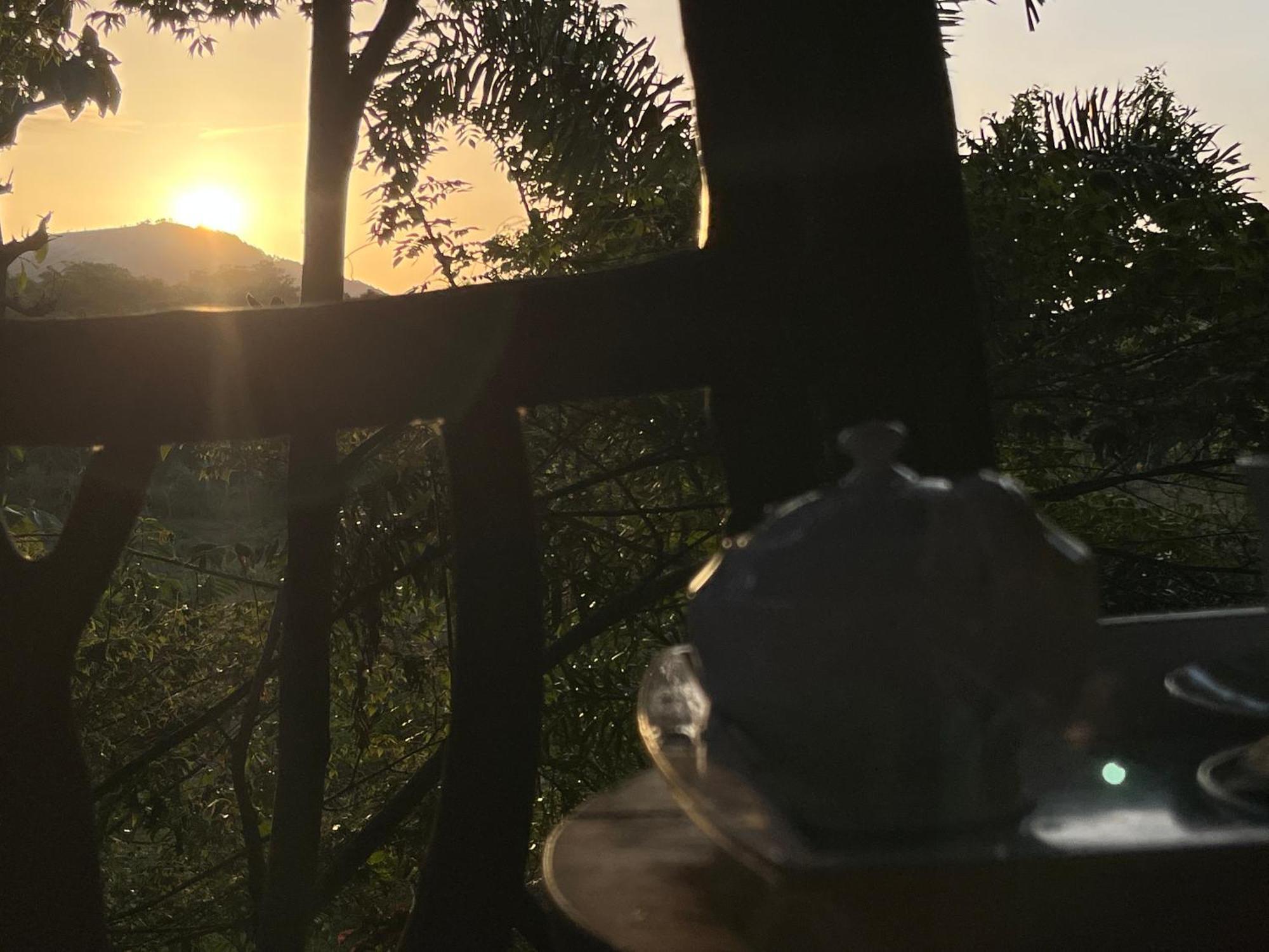 Hotel Sigiriya Rock Gate Tree House Exteriér fotografie